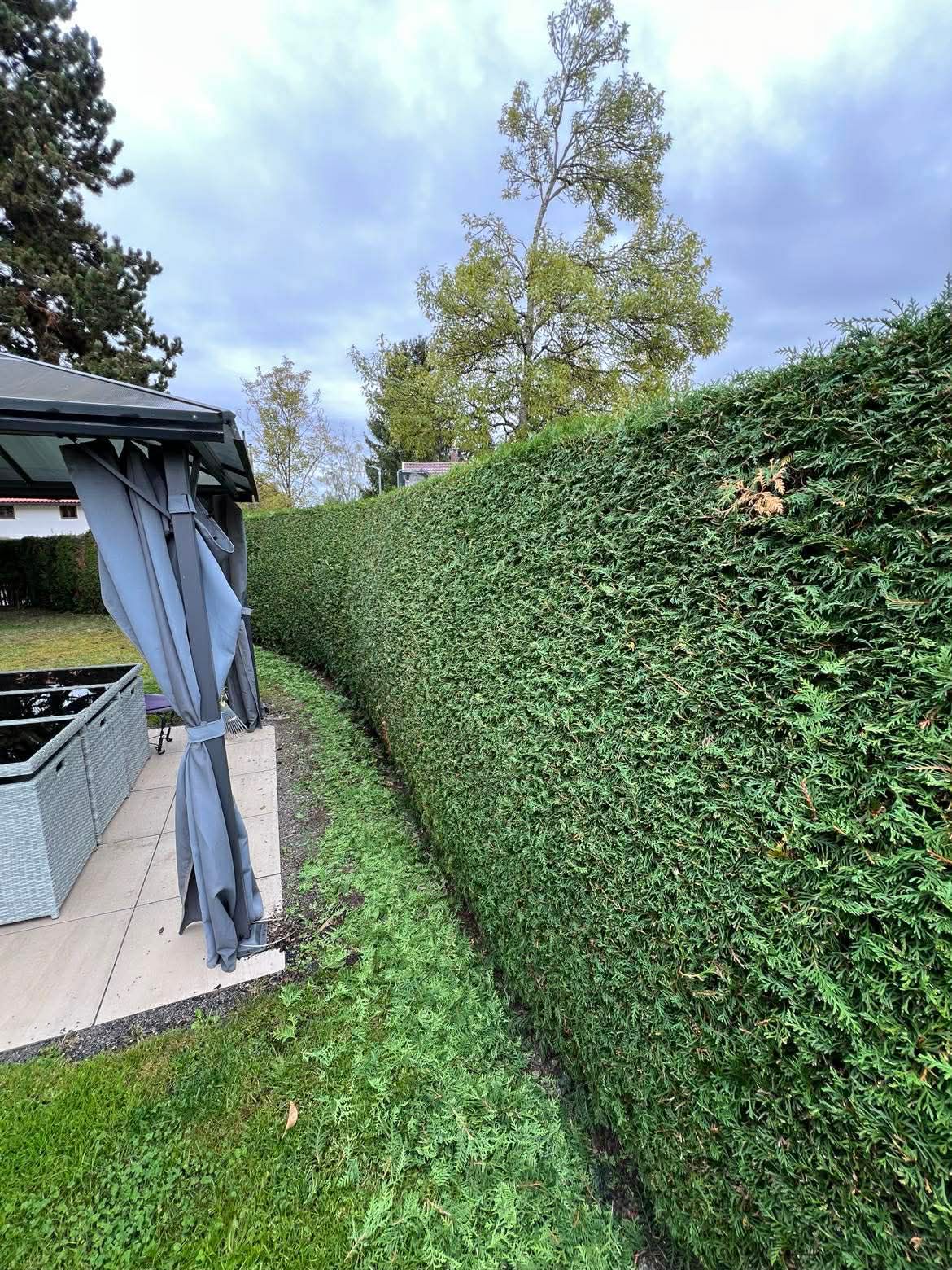 Heckenschnitt Neuried