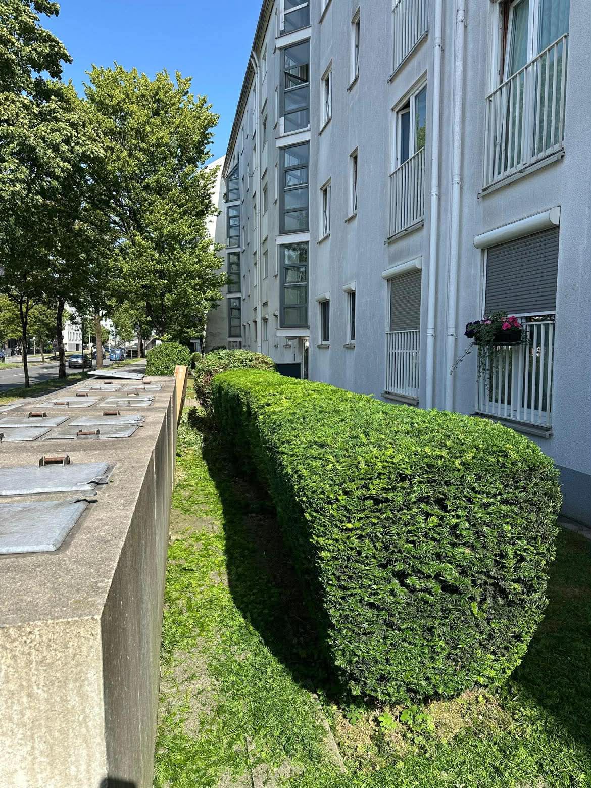 Heckenschnitt Frankfurter Ring München